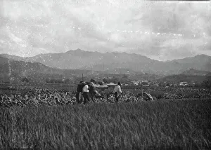 Crops Prints: Travel views of Japan and Korea, 1908. Creator: Arnold Genthe