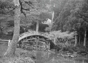 Tranquillity Prints: Travel views of Japan and Korea, 1908. Creator: Arnold Genthe
