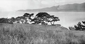 Mountain Top Prints: Travel views of Japan and Korea, 1908. Creator: Arnold Genthe