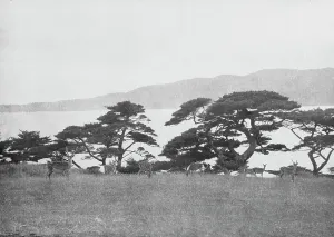 Mountain Top Prints: Travel views of Japan and Korea, 1908. Creator: Arnold Genthe
