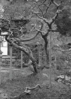 Feature Prints: Travel views of Japan and Korea, 1908. Creator: Arnold Genthe