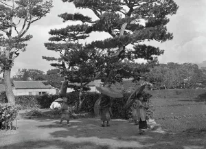 Travel views of Japan and Korea, 1908. Creator: Arnold Genthe