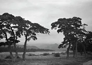 Travel views of Japan and Korea, 1908. Creator: Arnold Genthe