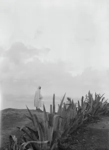 Succulent Prints: Travel views of Morocco, 1904. Creator: Arnold Genthe