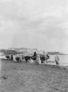 Pack Animals Prints: Travel views of Morocco, 1904. Creator: Arnold Genthe