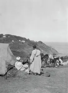 Pack Animals Prints: Travel views of Morocco, 1904. Creator: Arnold Genthe