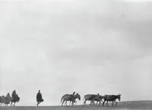 Pack Animals Prints: Travel views of Morocco, 1904. Creator: Arnold Genthe