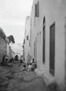 Pack Animals Prints: Travel views of Morocco, 1904. Creator: Arnold Genthe