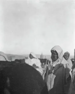 Pack Animals Prints: Travel views of Morocco, 1904. Creator: Arnold Genthe