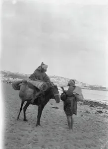 Pack Animals Prints: Travel views of Morocco, 1904. Creator: Arnold Genthe