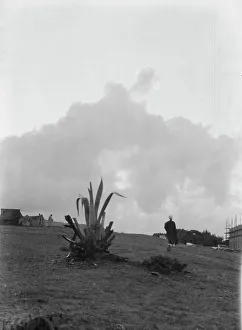Succulent Prints: Travel views of Morocco, 1904. Creator: Arnold Genthe