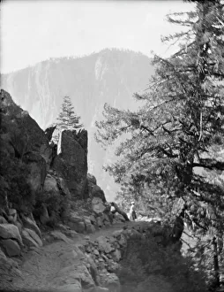 Yosemite Prints: Travel views of Yosemite National Park, between 1903 and 1906. Creator: Arnold Genthe