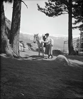 Travel views of Yosemite National Park, between 1903 and 1906. Creator: Arnold Genthe