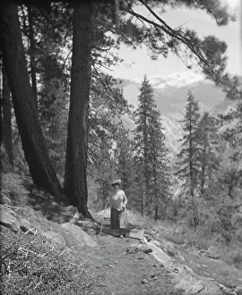 Travel views of Yosemite National Park, between 1903 and 1906. Creator: Arnold Genthe