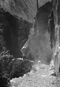 Guide Prints: Travel views of Yosemite National Park, between 1903 and 1906. Creator: Arnold Genthe