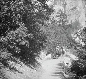Travel views of Yosemite National Park, between 1903 and 1906. Creator: Arnold Genthe
