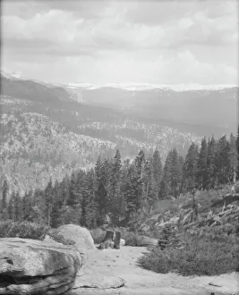 Yosemite Prints: Travel views of Yosemite National Park, between 1903 and 1906. Creator: Arnold Genthe
