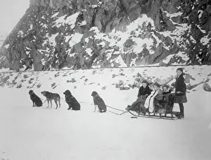 Dog Sled Prints: Traveling by dog sled, between c1900 and 1917. Creator: Unknown