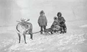 Reindeer Prints: Traveling with reindeer, between c1900 and c1930. Creator: Unknown