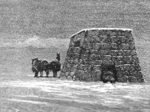 Bates Hw Prints: Travellers Shelter in the Andes; A Ramble in Peru, 1875. Creator: Unknown