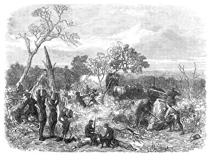Wagons Prints: Travelling in Africa: cutting a road for the waggons, 1868. Creator: Unknown