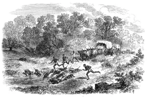 Thirsty Prints: Travelling in Africa: the rain-pool by the way, 1869. Creator: Unknown