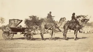 Peshawar Prints: A Travelling Camel Carriage from Lahore to Peshawar, Governor Generals Camp, 1858-61
