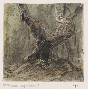 Tavenraat Johannes Prints: Tree, 1861. Creator: Johannes Tavenraat
