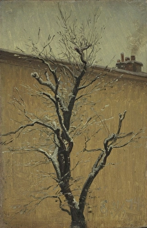 1874 Prints: The Tree, 1874. Creator: Christian Skredsvig