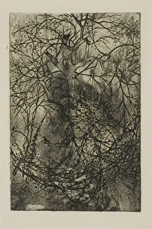 Bresdin Rodolphe Prints: Tree Branches, n. d. Creator: Rodolphe Bresdin