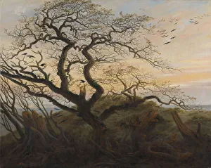 Caspar David 1774 1840 Prints: The Tree of Crows. Artist: Friedrich, Caspar David (1774-1840)