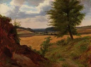 Gustaf Werner Holmberg Prints: Tree in Field Landscape, Study, 1854. Creator: Werner Holmberg
