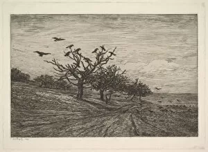 Perched Gallery: Tree Filled with Crows, 1867. Creator: Charles Francois Daubigny
