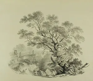 Tree and Footbridge, 1820. Creator: Francis Nicholson