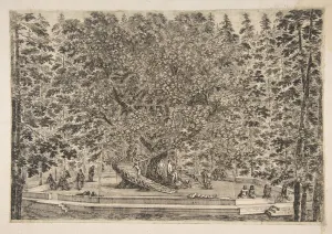 The Tree House at Pratolino, ca. 1653. Creator: Stefano della Bella