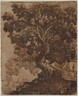 Ercole Bazicaluva Prints: Tree in a Landscape, mid 17th century. Creator: Ercole Bazicaluva (Italian, c. 1610-1661)