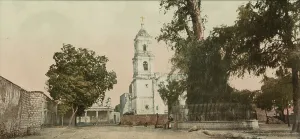 Photochrom Print Prints: The tree of Noche Triste, Popotla, between 1884 and 1900. Creator: William H. Jackson