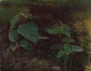 Tree Plants, sketch for the painting Fairy Tale Princess, c1895-1896. Creator: Torsten Wasastjerna