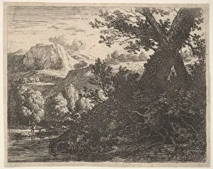 Tree with roots laid bare alongside a stream, a hilly landscape Tree with roots laid bare alongside a stream, a hilly landscape