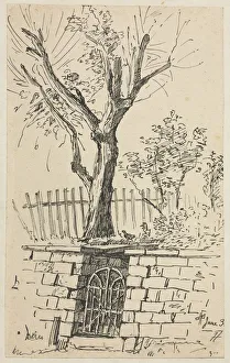 Otto H Bacher American Prints: Tree on Top of a Stone Wall, Cleveland. Creator: Otto H. Bacher (American, 1856-1909)
