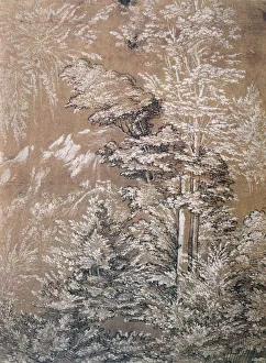 Wolfgang Prints: Tree Study, 1519 Artist: Wolf Huber