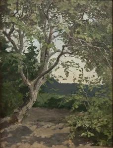 A Tree. Study, late 19th century. Creator: Anna Nordlander