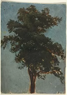 Attributed To Gallery: Tree Study, second third 1800s. Creator: Alexandre Calame (Swiss, 1810-1864), attributed to