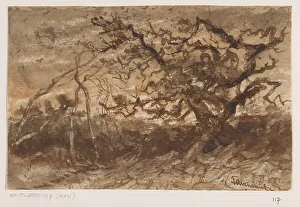 Tavenraat Johannes Prints: Tree at sunset, 1835-1845. Creator: Johannes Tavenraat