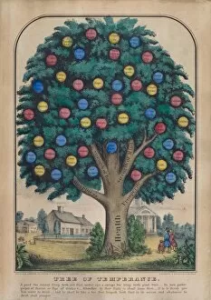 Morality Collection: Tree of Temperance, 1848. Creator: Unknown