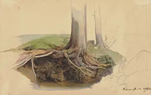 Studies Prints: Tree trunk and roots, 1845. Creator: Ernst Ferdinand Oehme