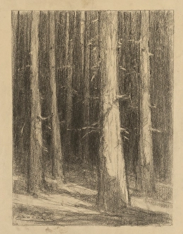 Cordak Prints: Tree trunks, around 1930. Creator: Ludovit Cordak