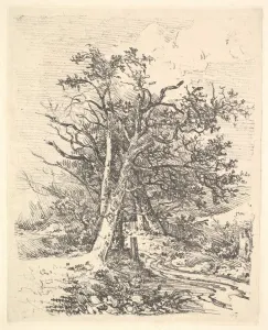 Crome Prints: Tree Trunks and Lane, 1811-13. Creator: John Crome