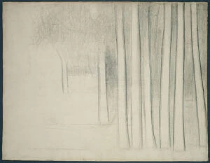 Tree Trunk Gallery: Tree Trunks (study for La Grande Jatte), 1884. Creator: Georges-Pierre Seurat