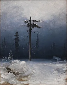 Peder Andersen Balke Prints: Tree in a Wintry Forest, 1850-1859. Creator: Peder Balke